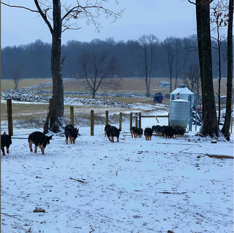 Woodlands raised Berkshire Pork Shares **Deposit Only**